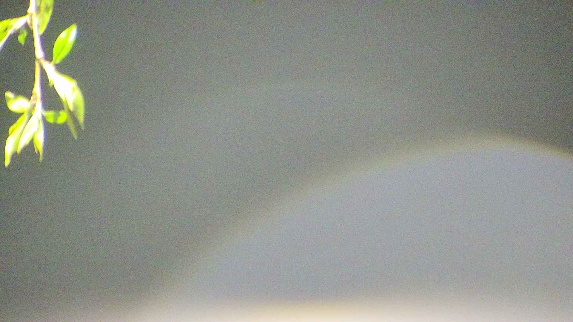 area5-20250501012053.jpg