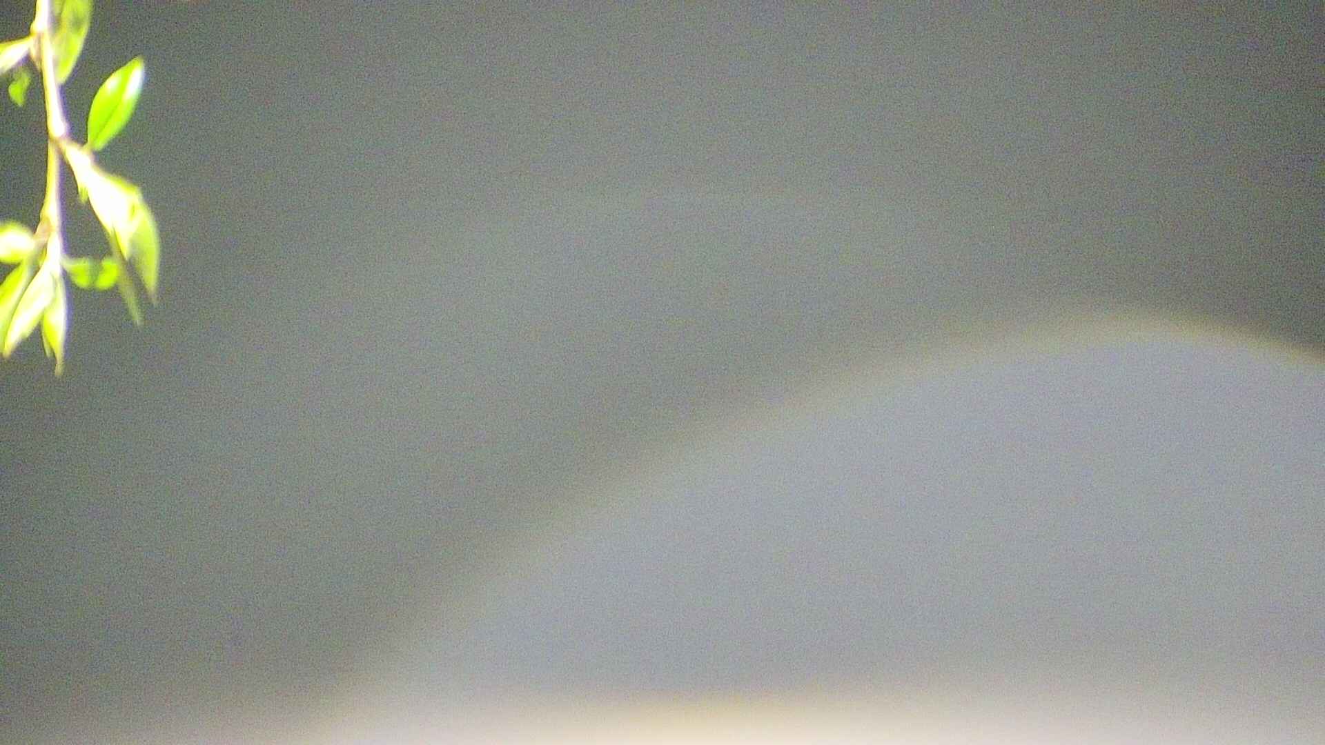 area5-20250501020054.jpg