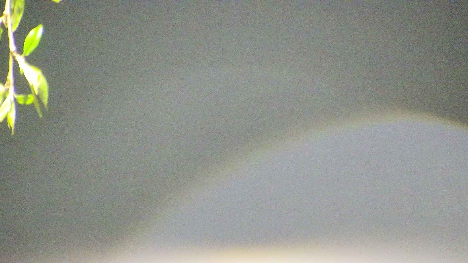 area5-20250501021054.jpg