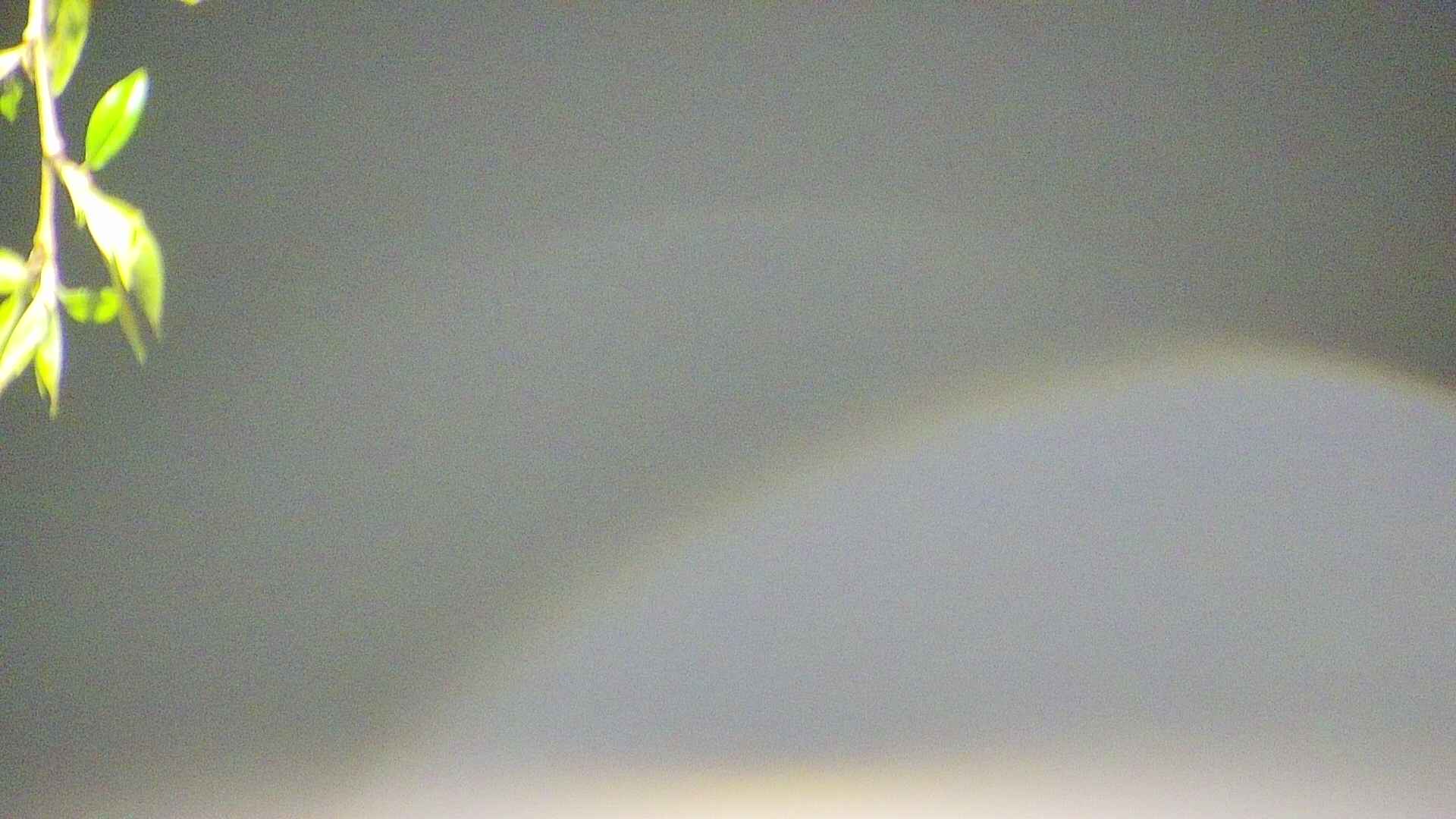 area5-20250501022052.jpg