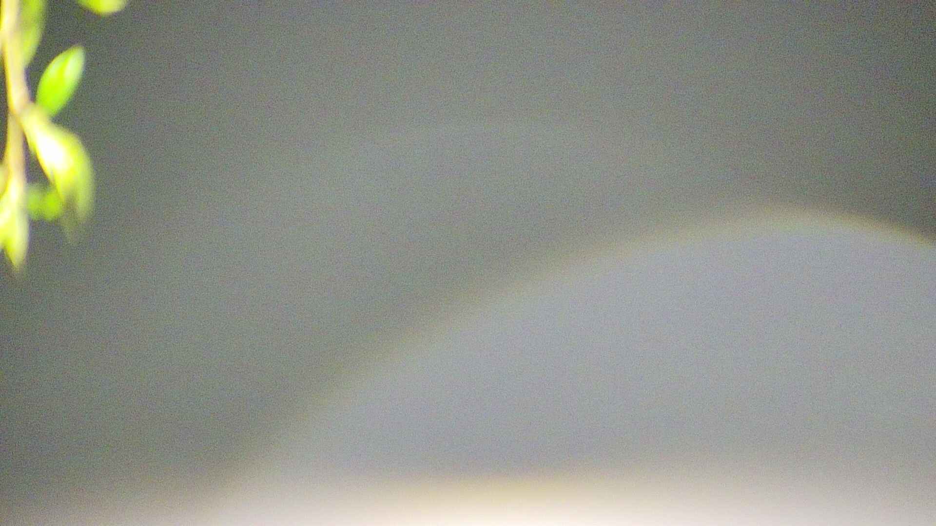 area5-20250501024053.jpg