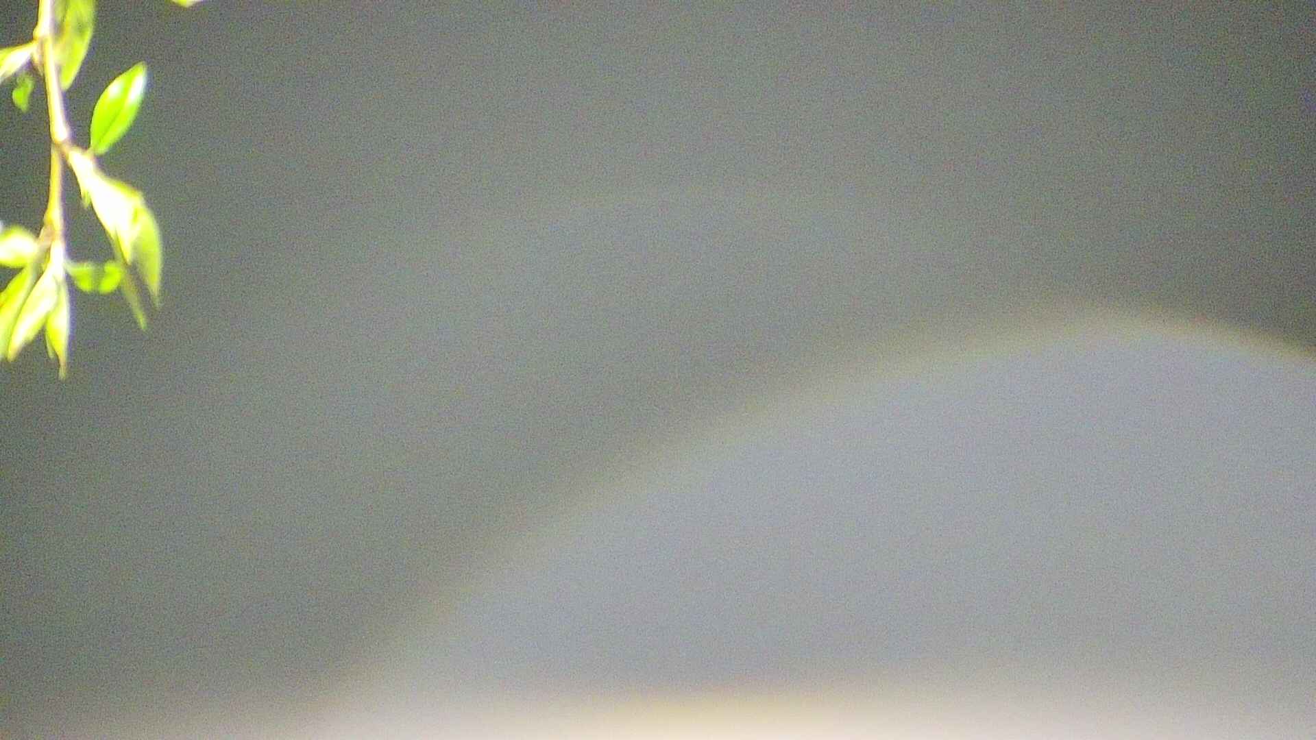area5-20250501032054.jpg