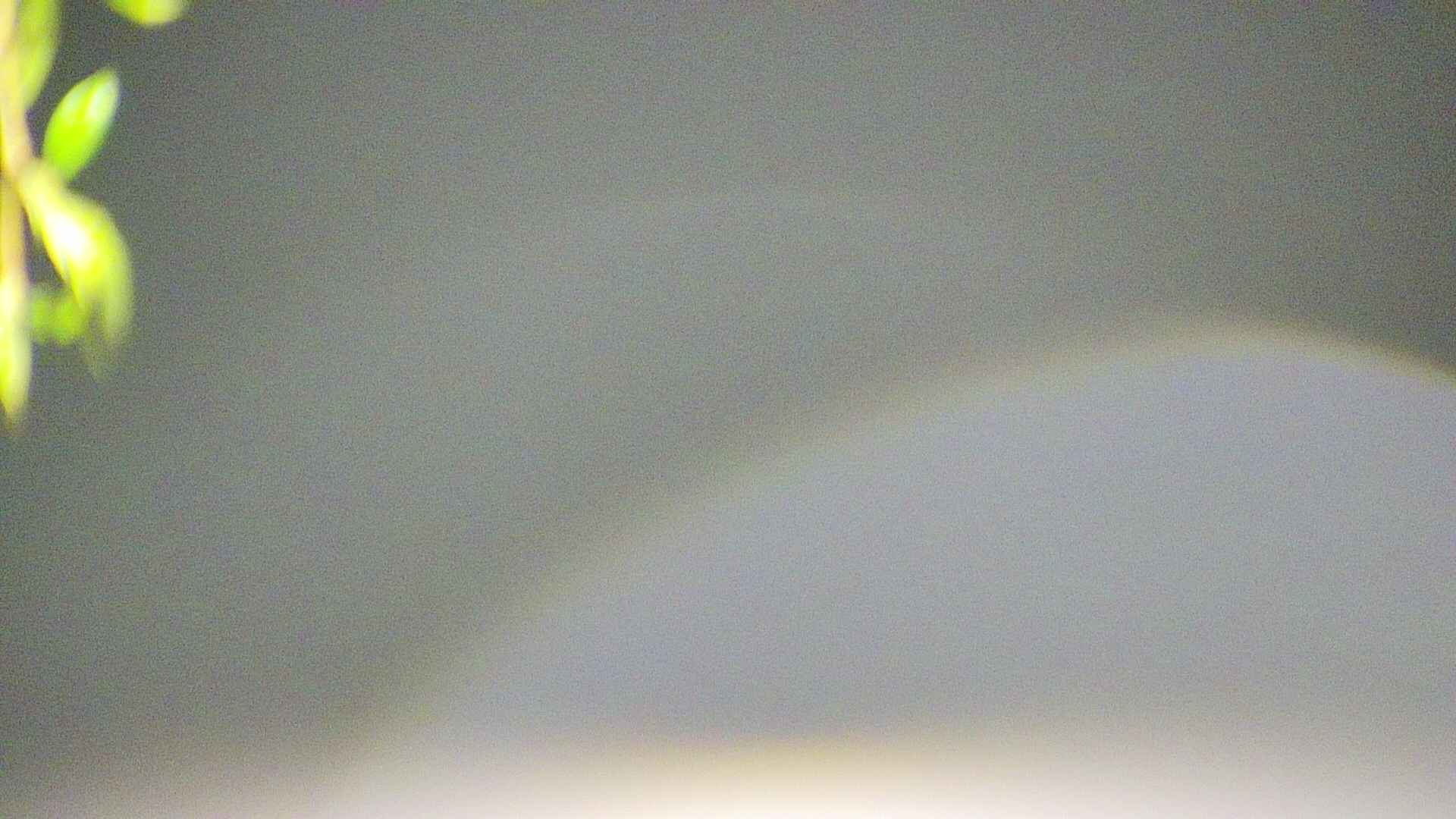 area5-20250501033053.jpg