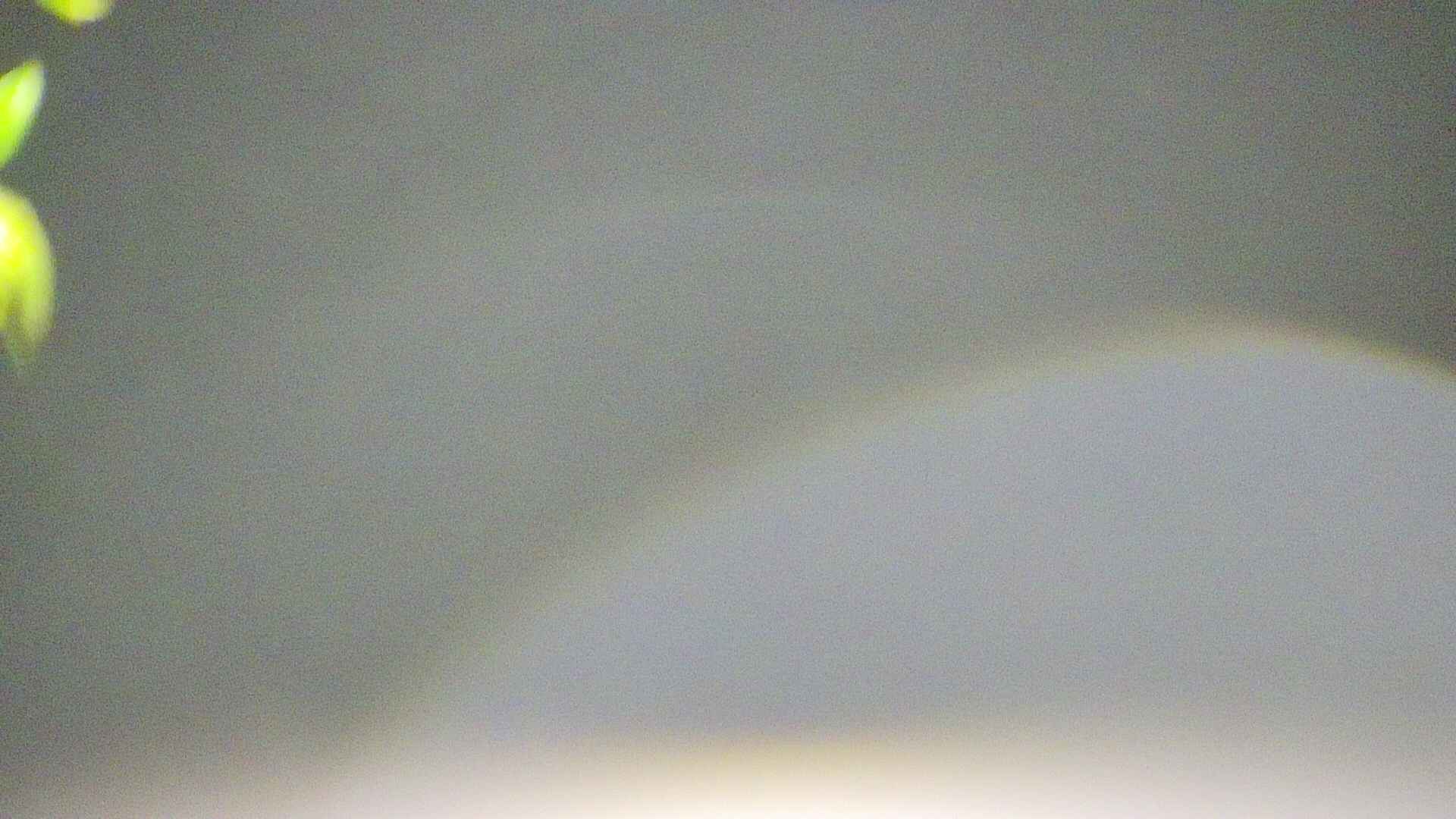 area5-20250501034054.jpg