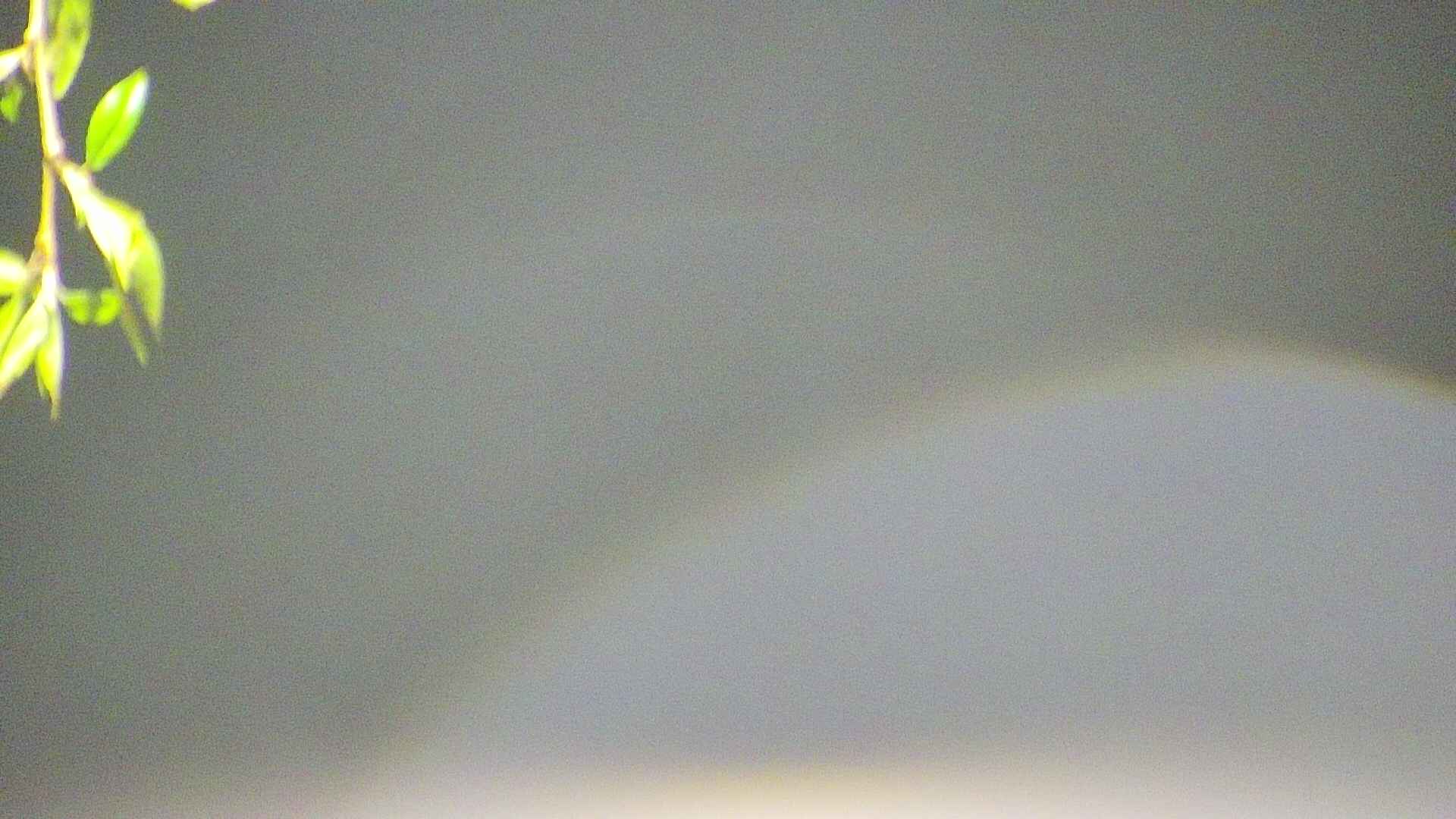 area5-20250501035052.jpg