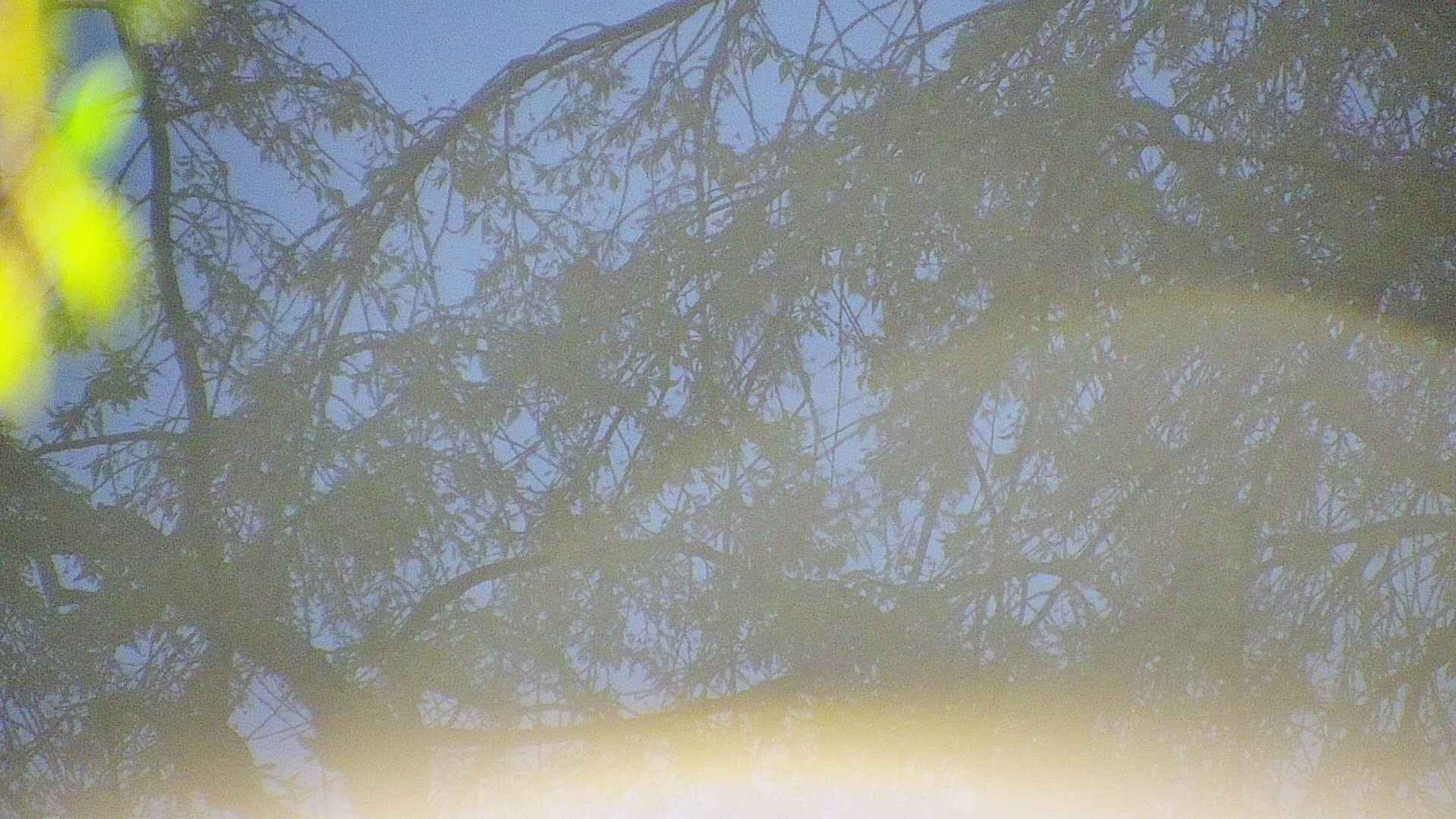 area5-20250501041052.jpg